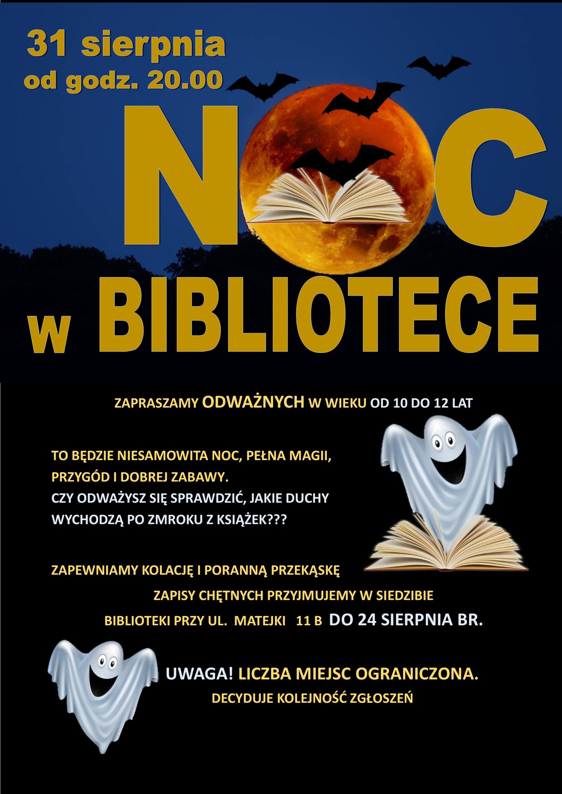 NOC W BIBLIOTECE plakat